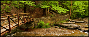 Spring at Wolf Creek, Letchworth State Park by Bonnie Gamache