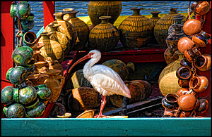 Guarding the Jars by Jim Dusen