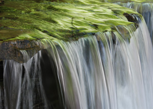 Stony Brook by David Kotok