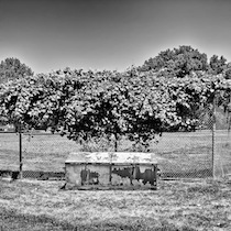 Ball Field 1 by Gil Maker