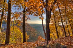 Letchworth Sunrise by Dick Bennett