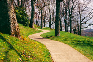 Serpentine Walkway by Phyllis Thompson