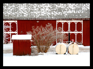 Barn Close-up by Dan Neuberger