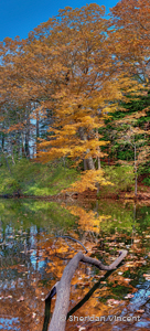 Lake Eastman by Sheridan Vincent