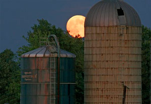 Farmer's Moon by Sheila Nelson