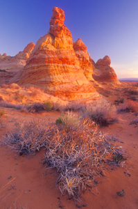 Teepees at Coyote Butte by Gary Thompson