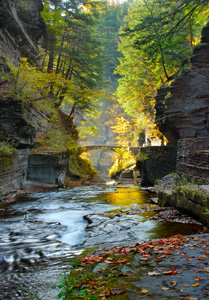 Robert Treman State Park by Richard Welch