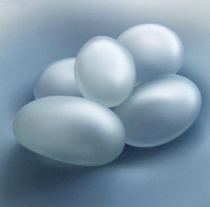 Asheville Eggs by Dan Neuberger