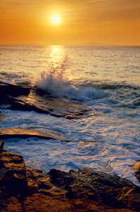 The Wave of Acadia by Gary Thompson