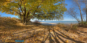 Sand and Shadows by Sheridan Vincent