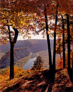 Autumn at the Hogback by Gary Thompson