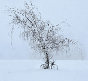 No Biking Today by Steve Knapp