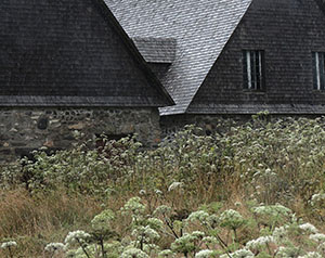 Rain in Louisberg by David Perlman