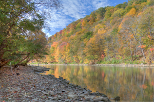 Genesee Gorge by Dick Bennett