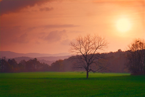 Day's End at Cades Cove by Phyllis Thompson