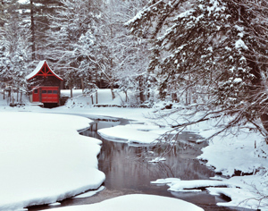 A Little Red Boathouse by Carolynn McCann