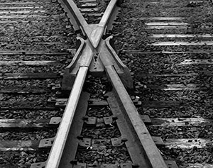 Tracks by David Perlman