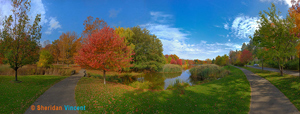 Seneca Park Pond by Sheridan Vincent