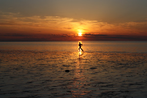 Cape Cod Runner by Daniel Silver