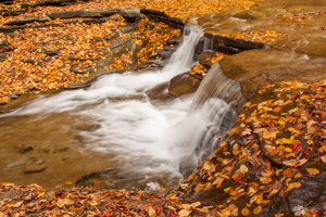 Twin Falls by Ryan Beattie