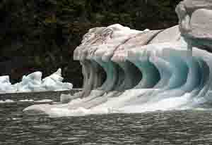 Claws, Patagonia by Steve Levinson