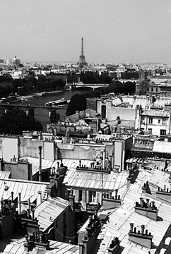 Rooftops of Paris by Dan Neuberger