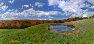 Hillside Pond by Sheridan Vincent