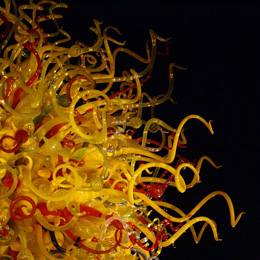 Chihuli Sun by Keith Wilson