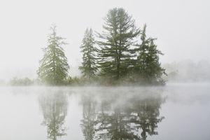 Mysterious Pond by Dick Bennett