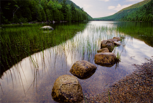 Stepping Stones by Phyllis Thompson