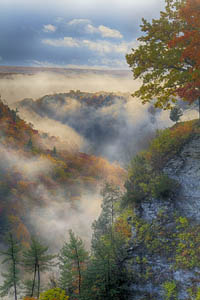 Letchworth Morning by John Williamson