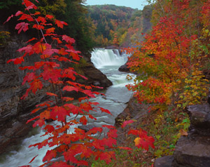 Autumn at Lower Falls by Gary Thompson