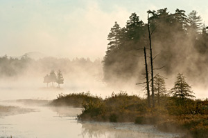 Raquette Lake by John Williamson