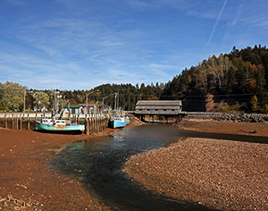 Low Tide by Carl Crumley