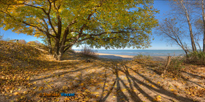 Shadows on the Beach by Sheridan Vincent