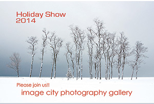 Holiday Show Card 2014