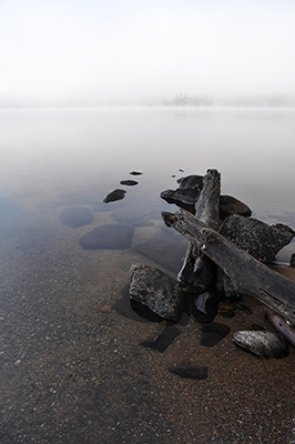 Morning Mist by Carolynn McCann