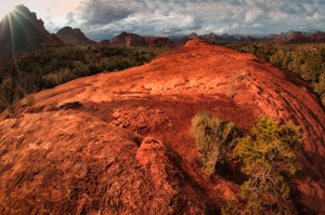 Sedona Red by Tom Kredo