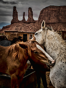 Three Sisters by Michelle Turner