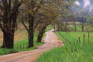 After the Storm by Phyllis Thompson