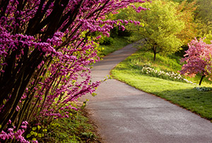 One Spring Morning by Phyllis Thompson