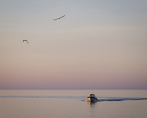 Coming Home by Carl Crumley