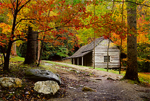 Ogle Cabin by Gary Thompson