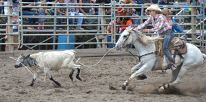 Rodeo Cowgirl by David Kotok