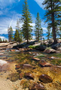 The Clear Mountain Stream by Robert Carr