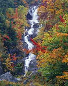 Silver Cascade by Gary Thompson