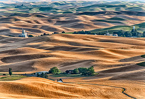 Whitman County Granary by Barbara J. Drake