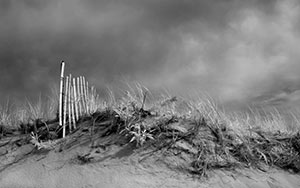 Dune Fence by D. Dargan Teska