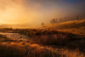 Misty Dawn #11 - Montana by Wu-Hsiung Yang