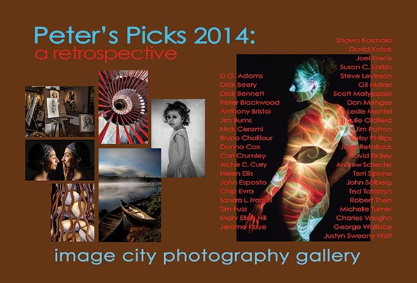 Peters Picks 2014 Retrospective